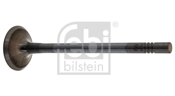 Intake Valve